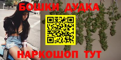 гидропоника Камышлов