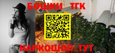 гидропоника Камышлов