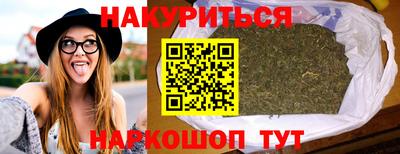гидропоника Камышлов
