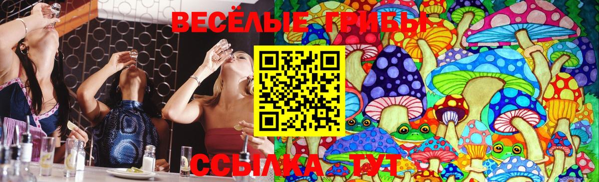Псилоцибиновые грибы Psilocybe Лангепас